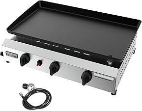 61qUPY2IfBL. AC SL289