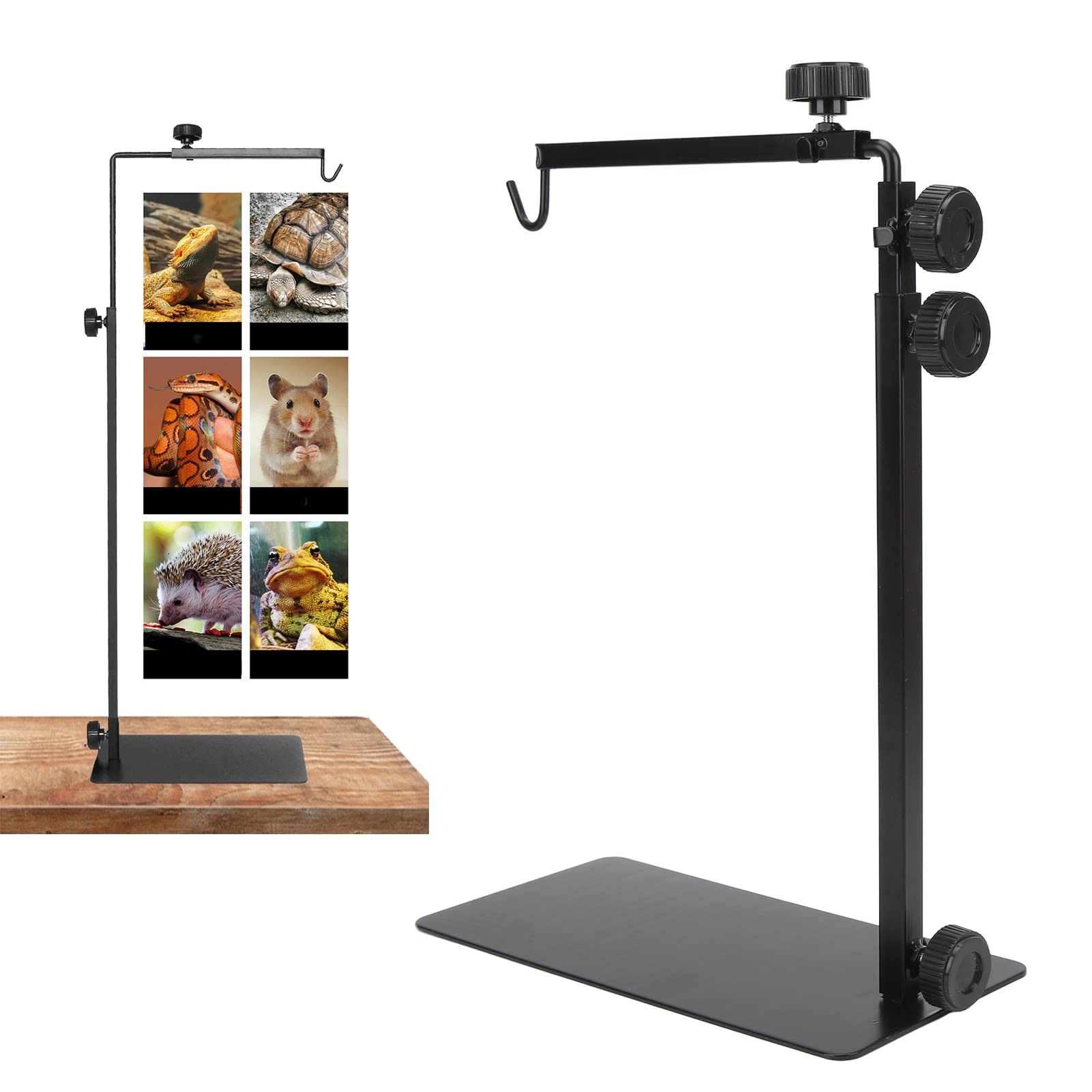 KIMISS Portalampada Prendisole per Terrario, Supporto per Rettili Luce Termica Installazione Semplice Forniture per Animali Domestici Rettili Anfibi Lampade Tappetini Elevata Durezza
