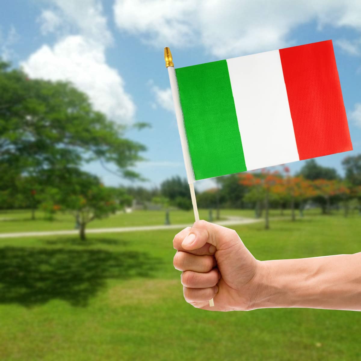 QQSD Italienische Mini-Handflaggen Mit Speerspitze – 12 Stück, 21x14 Cm, Für Partys & Events