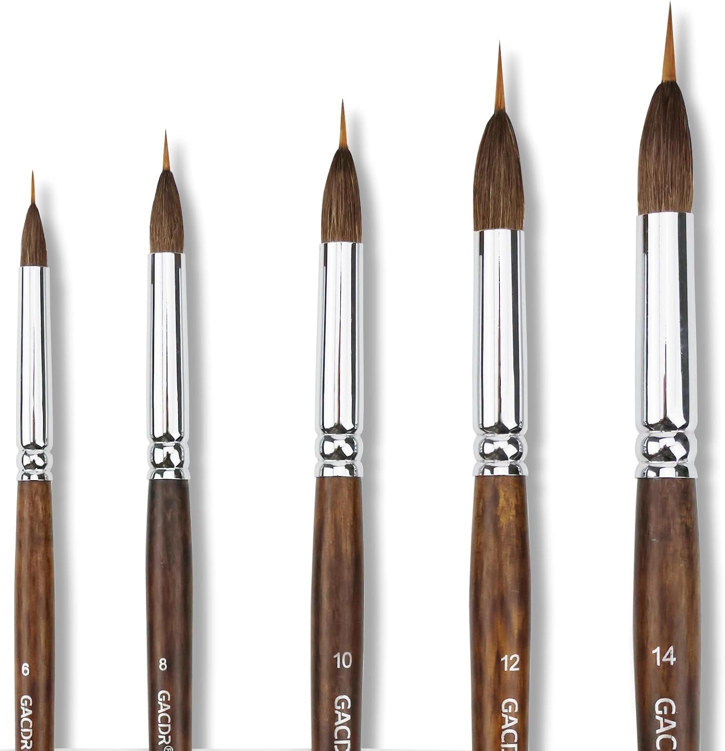 Watercolor Brushes Set - 5Pcs Extended Needle Point Artist Paint Brushes Professional Liner Brush - Synthetic Sable Hair Thin Paint Brushes for Watercolor Acrylic & Gouache 5 Pcs Brushes