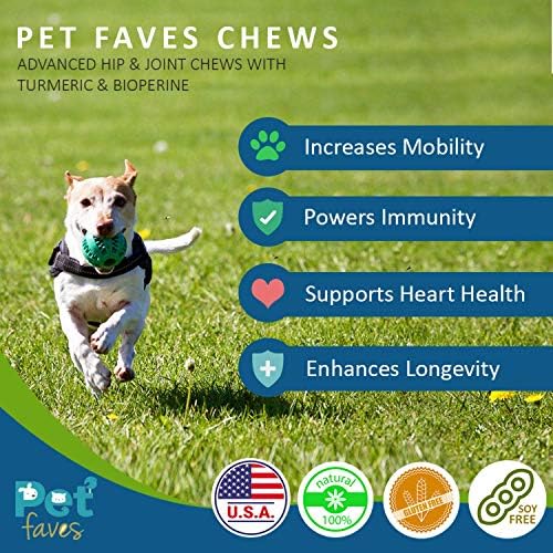 What Is A Good Natural Anti Inflammatory For Dogs