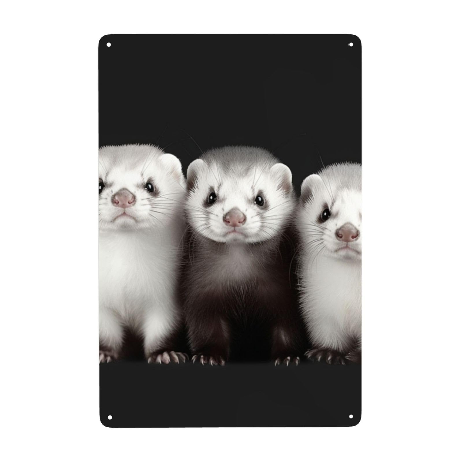 Fodpand White Vintage Tin Signs Metal Retro Wall Art Decor - Wall Hanging Decorative Plaque 8X12 Inch, Ferrets Metal Signs For Home Yoga Cafes, Funny Metal Poster For Gifts