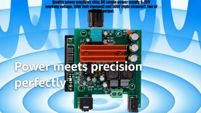 Amazon.com: TPA3116D2 100W Mono Amplifier Board Subwoofer