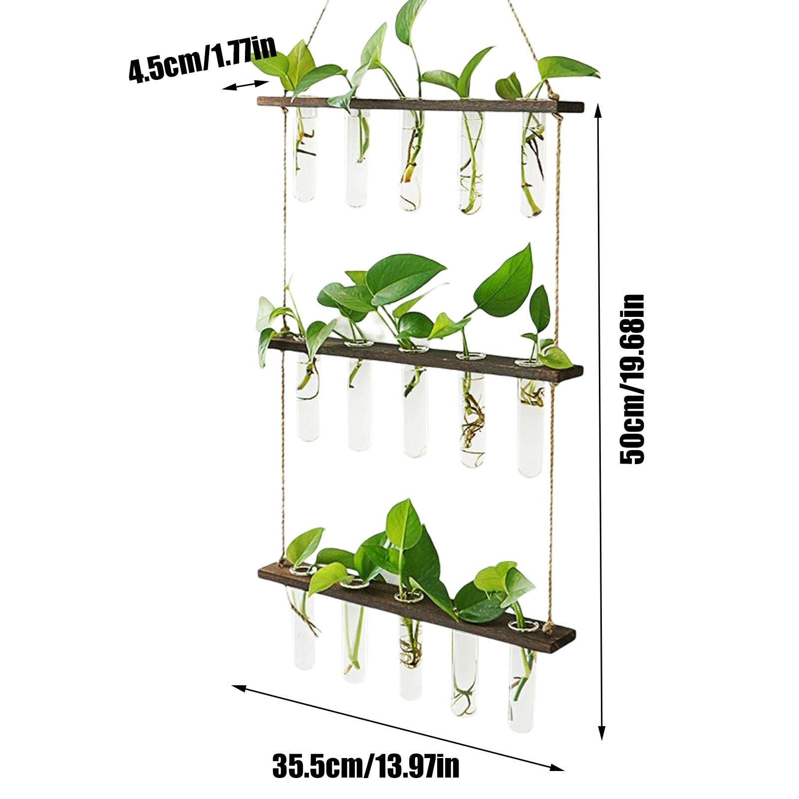 Hängevase aus Glas, Ausbreitungsstation für Pflanzen Pflanzkübel Pflanzkübel Hängende Pflanzkübel aus Glas, moderne Glasröhrchen für Innen für Blumen mit Holzständer für