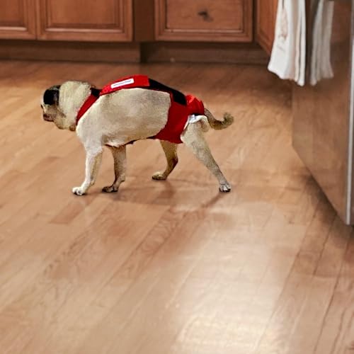 Miniatura 8 de Pañal impermeable para perro, color rojo cereza a prueba de escapes, talla S, con agujero para la cola - Fabricado en Estados Unidos