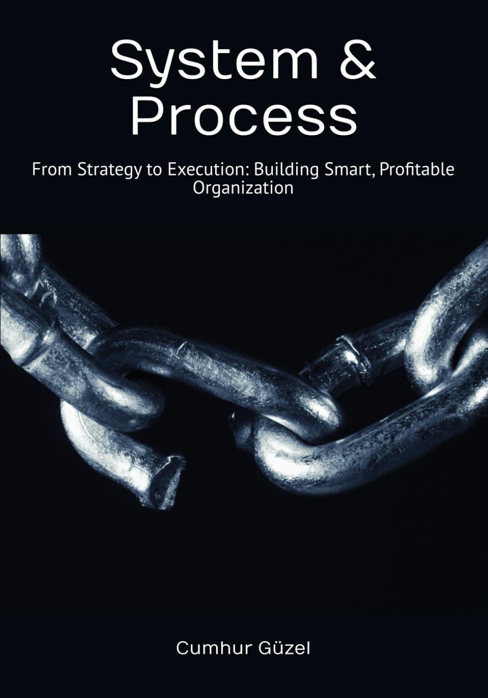 System & Process: From Design to Marketing; Strategy to Production: A Profitable, Smart and Happy Company