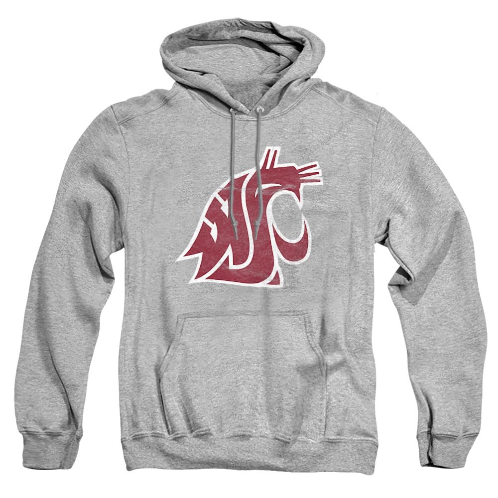 LOGOVISION Official Collegiate Distressed Primary Logo Adult Pullover Hoodie Collection — view 503