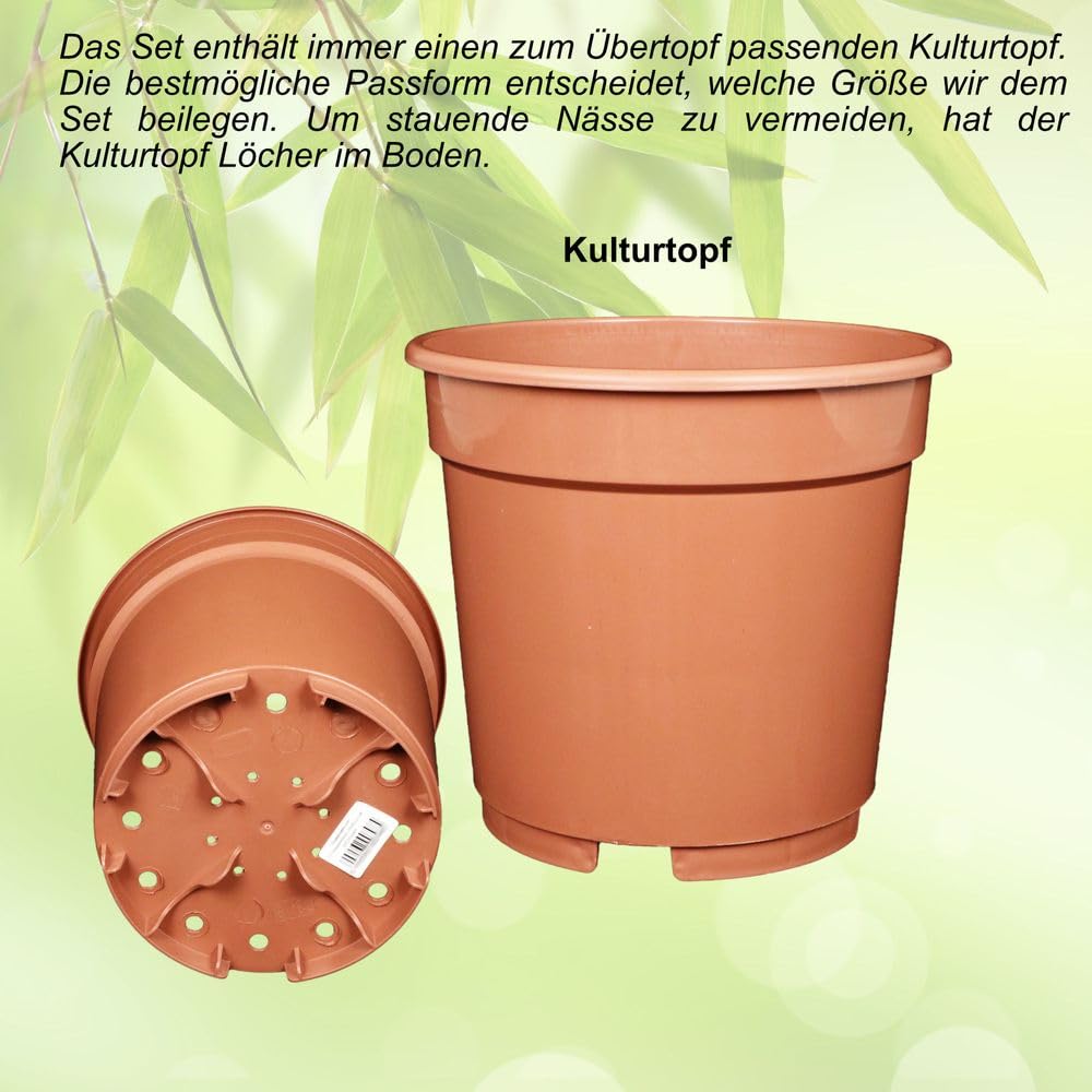 Ceramica Vaso Orchidee UFO ø26 Lucertola Crema/Antracite
