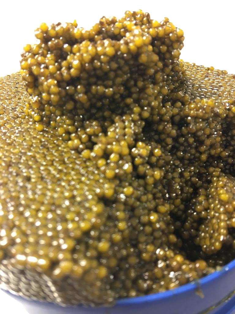 Caviar Royal Ossetra/Oscietra 250 gr