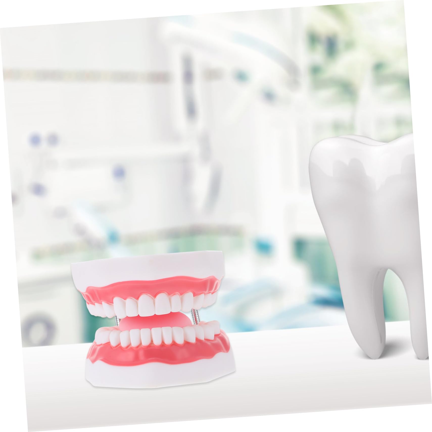 Modello dei Denti 6x Bianco in Pvc con Spazzolino Didattico | Gioco Interattivo per Ragazzo Ragazza, Supporto alla Comunicazione Genitore-figlio, 1 Pezzo