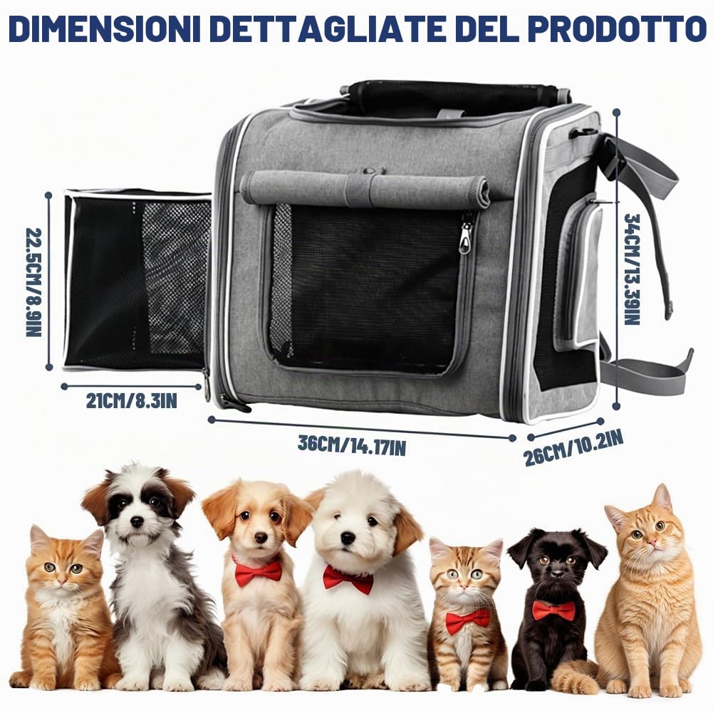 Cestino per cani per bicicletta, 4-in-1 cestino per cani espandibile per bicicletta fino a 10 kg, cestino per bicicletta, zaino e borsa a tracolla con 4 finestre in mesh, cintura di sicurezza, fondo