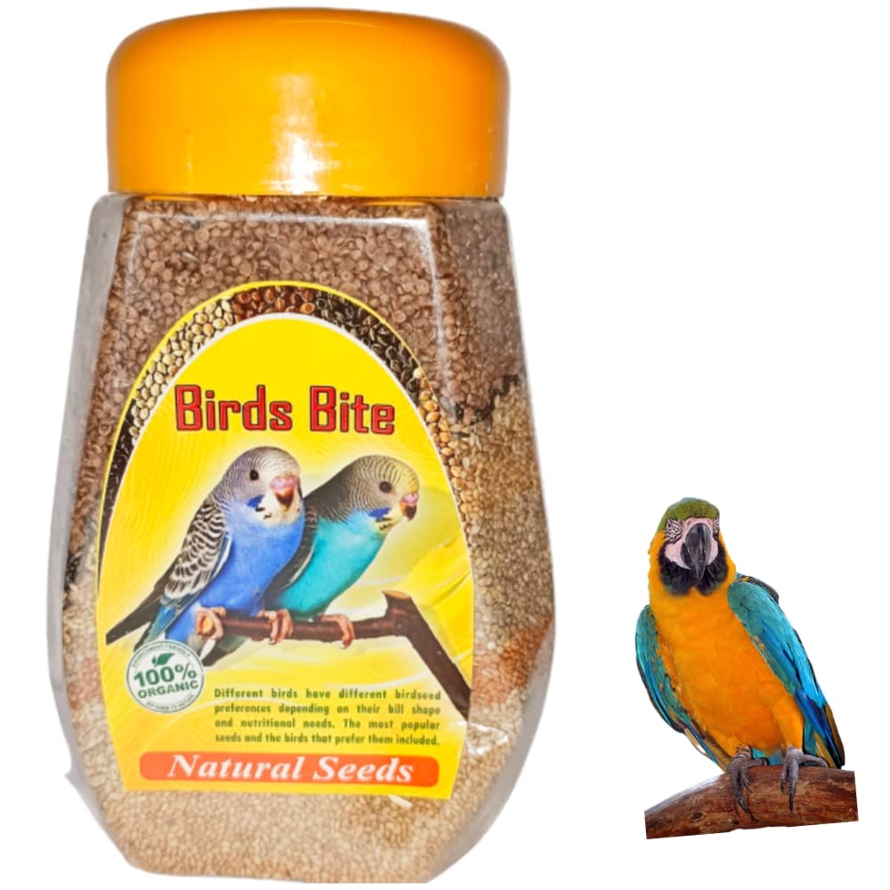 Jeffrey Birds Bite Natural Seed Mix for All Birds - 850 gram (B0CY2Z8XV2) Amazon Price History, Amazon Price Tracker