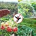 Hywean Red para Pájaros, 4m x 6m Red para Estanque Multiusos Malla...