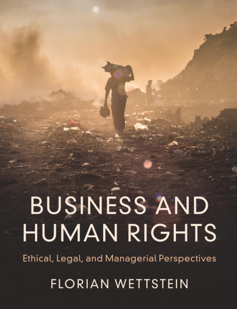 Business and Human Rights: Ethical, Legal, and Managerial Perspectives