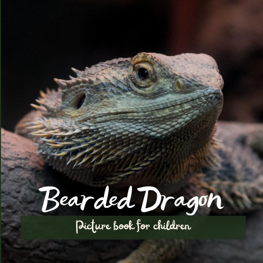 Bearded Dragon: Picture book for children