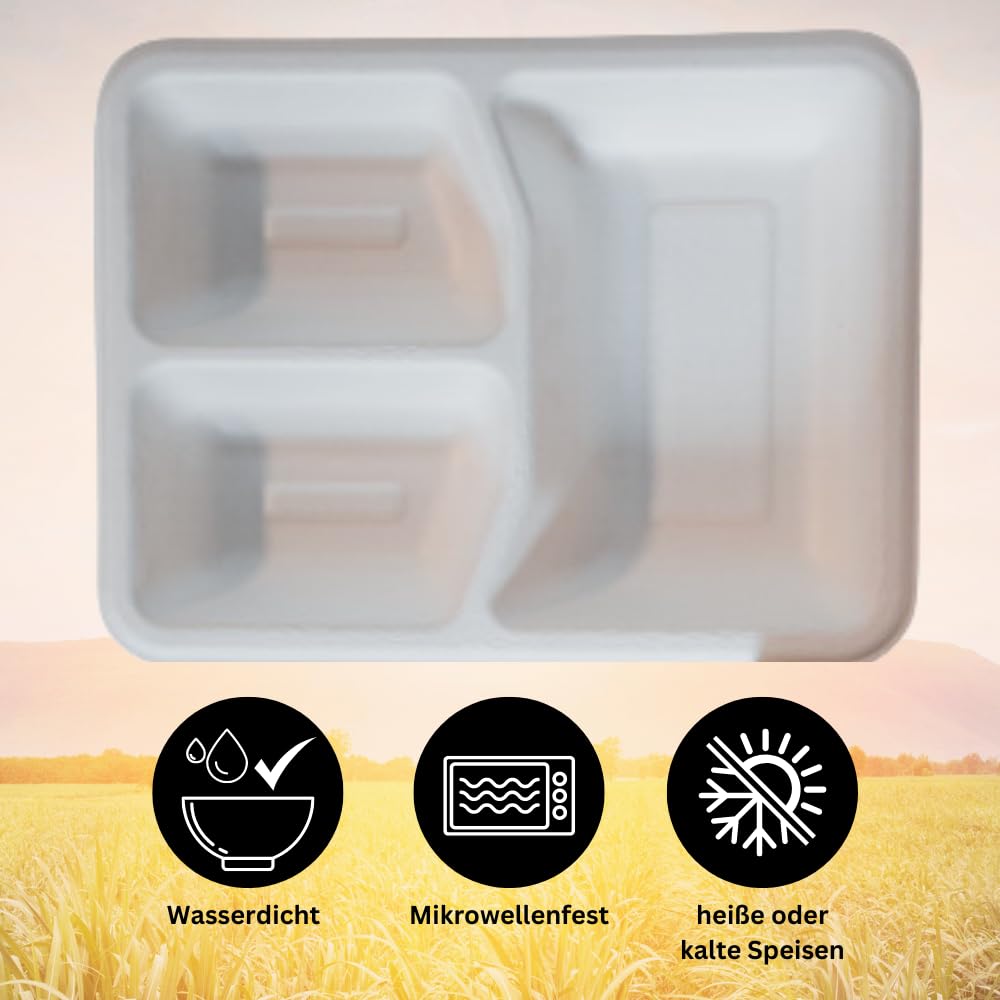 100 x Bio Menüboxen, 3-geteilt Snackboxen Foodbox XXL weiß Bagasse/Zuckerrohr nachhaltige Einwegboxen - Teller, Salatschale (24 cm X 18 cm X 5 cm in tiefe) kompostierbar
