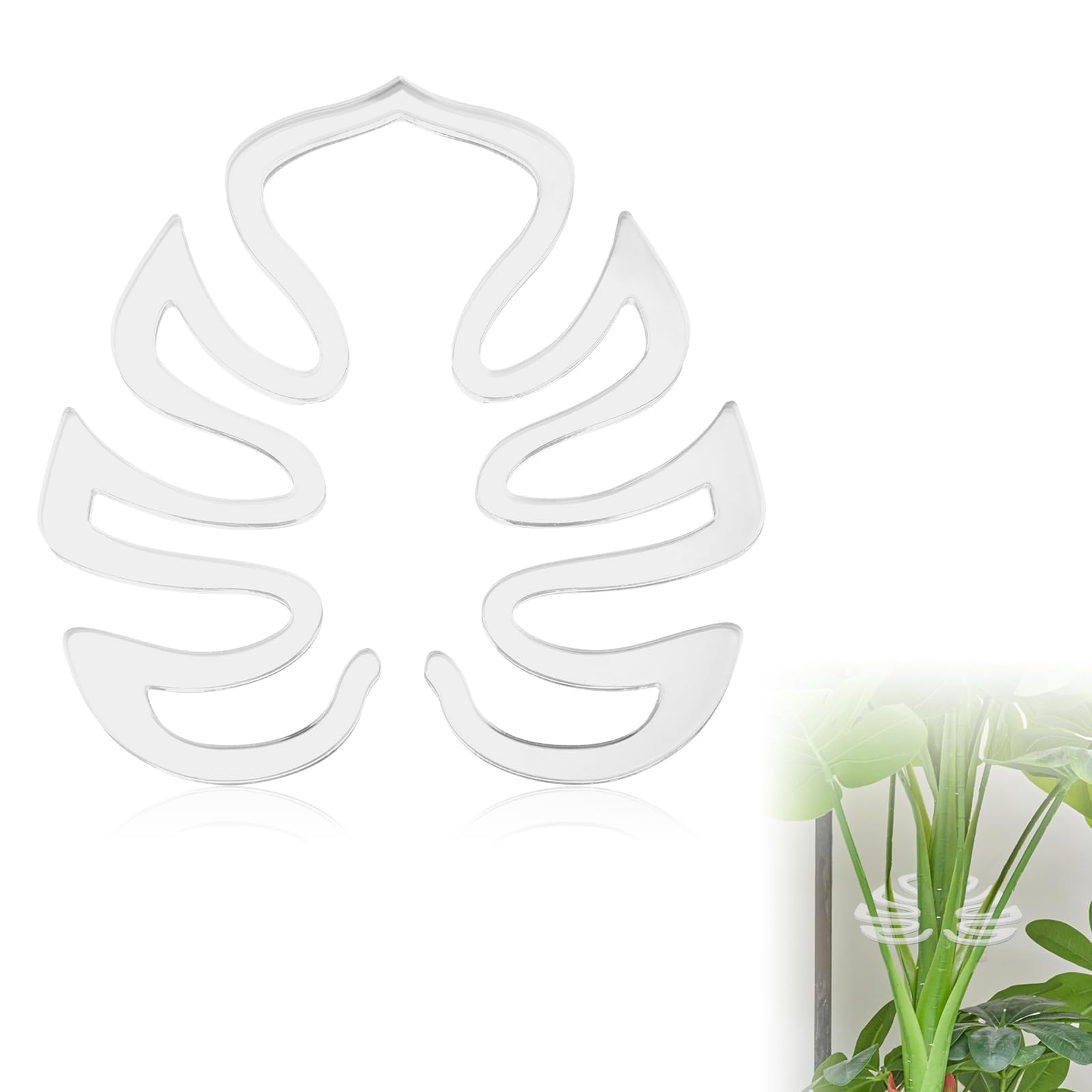 Support pour plantes monstera pour redresser les tiges tombantes en pot