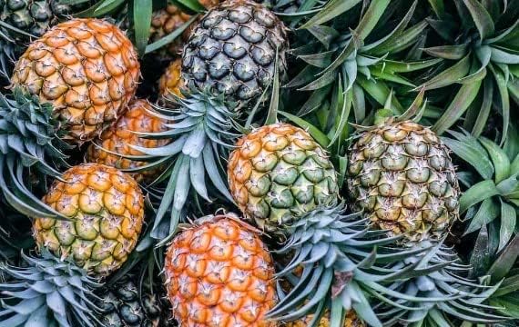 Miniatura 8 de Generic 100 semillas de fruta de piña rosa