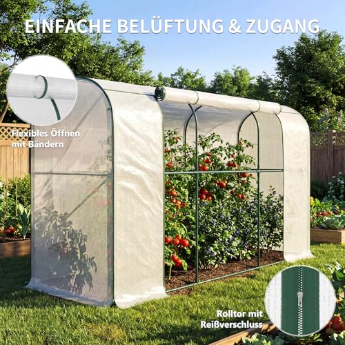 Gewächshaus - 300x100x170 cm - Begehbarer Tomatengewächshaus Foliengewächshaus für Pflanzen - Stabil UV-Beständig Optimales Pflanzenwachstum - Frühbeet Gemüse Blumen Obst