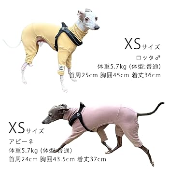 sally　イタグレ服 Amazon | D DOGGY STAR イタグレ服 花柄 サルエルパンツ もんぺ