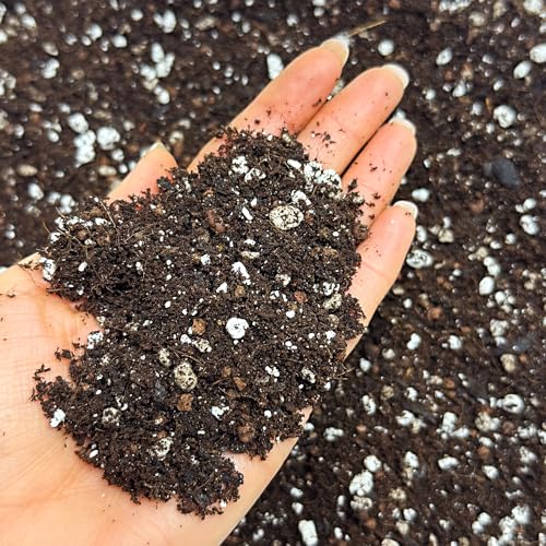 Bonsai Potting Mix with Activated Biochar, Premium Blend for Healthier Trees, Enhanced Nutrient Absorption & Aeration, Ideal for Indoor & Outdoor Bonsai Growth (2L)