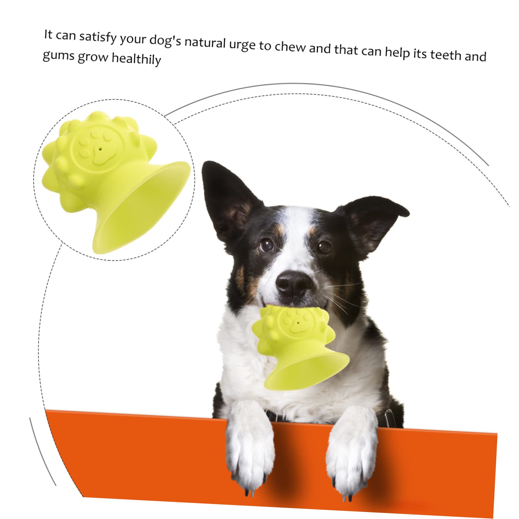 YARNOW 3 Piezas Perro de Juguete Cachorro Juguetes Hueso de Juguete Precioso Perro Juguete Suministro de Cachorro Juguete para Cachorros el Ventosa Suministros para s Caucho