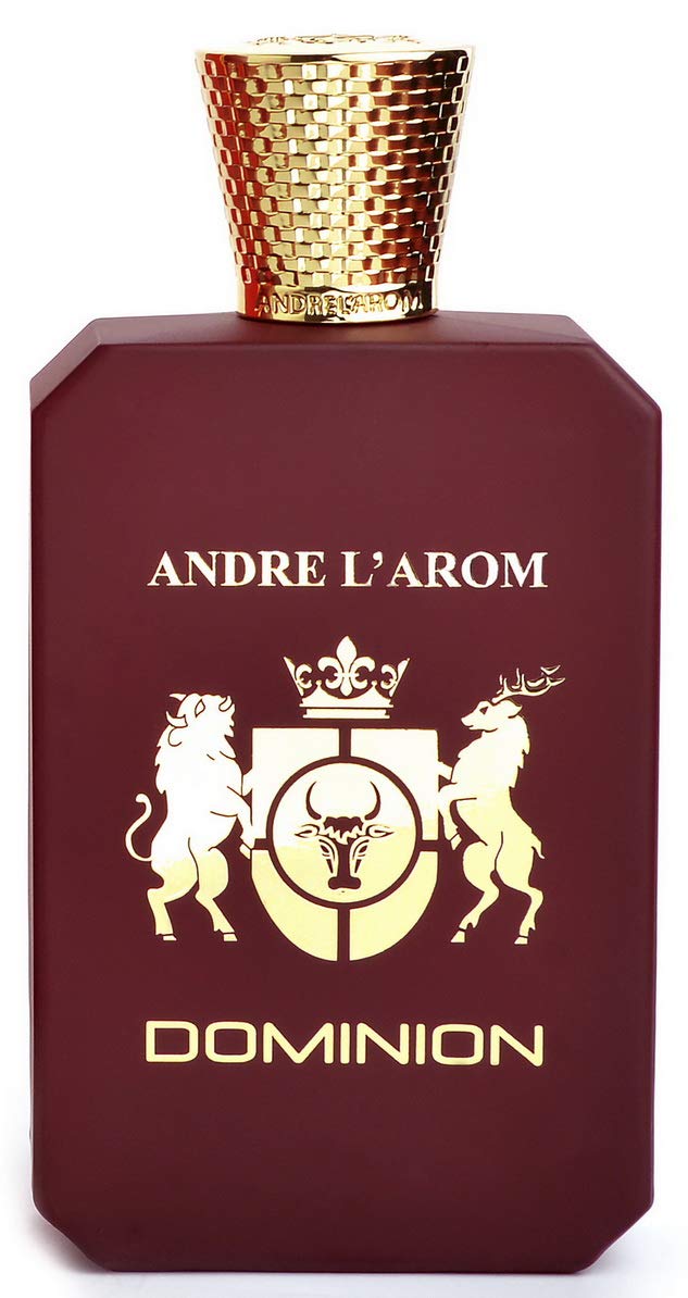 DOMINION Eau de parfum | Profumo per uomo 100 ml | lunga durata | fragranza Pelle | ottima idea regalo