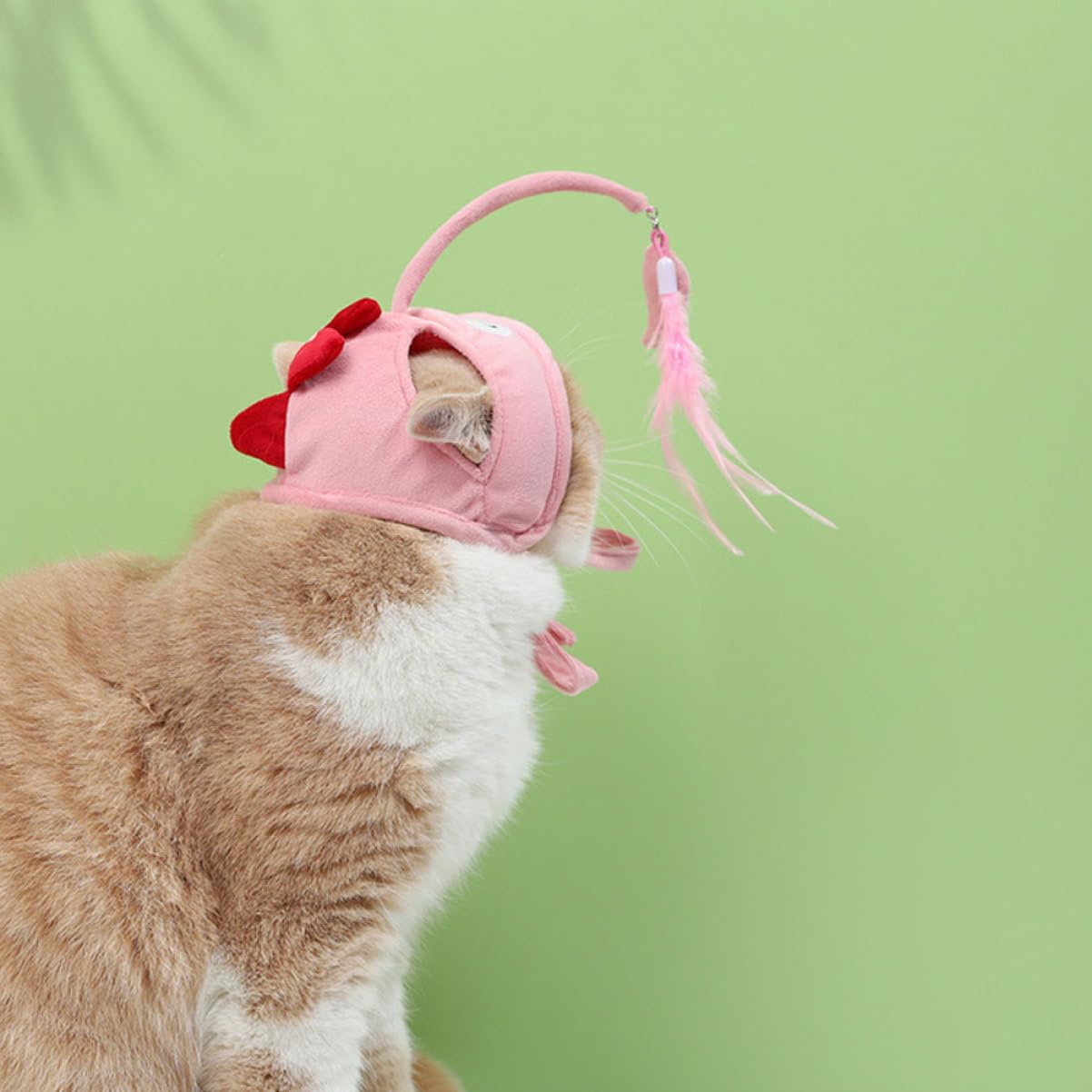 Kisangel 6stücke Katzen-Spielzeug Mit Kopftrage-Design Interaktives Katzenspielzeug Für Drinnen Fördert Jagdinstinkt Geeignet Für Katzen Und Kätzchen Aller