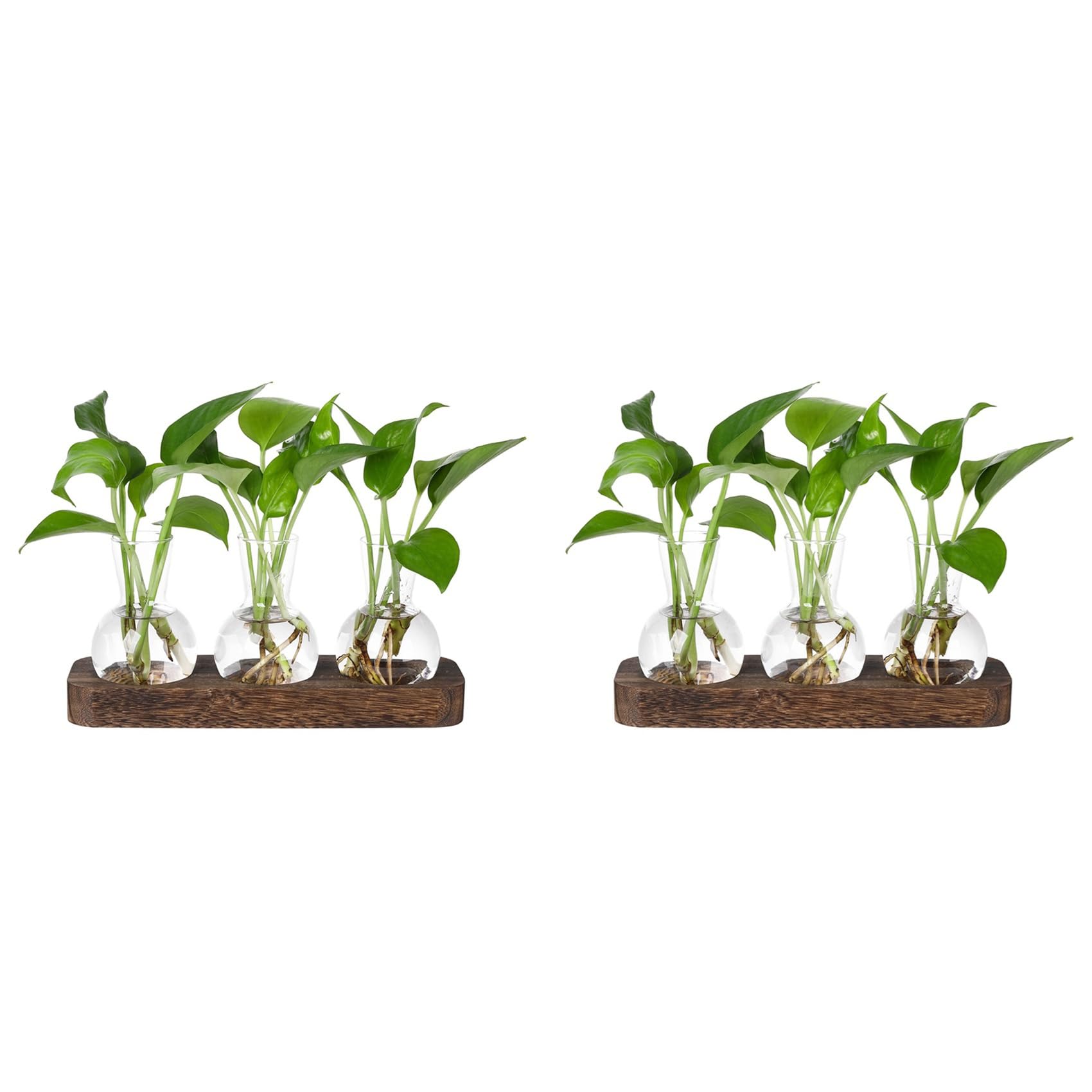 Vjsujehgy 2X Plants Propagation Stations Glass Vase Station Retro Plant Terrarium with Wooden Tray Bulb Flower Vase
