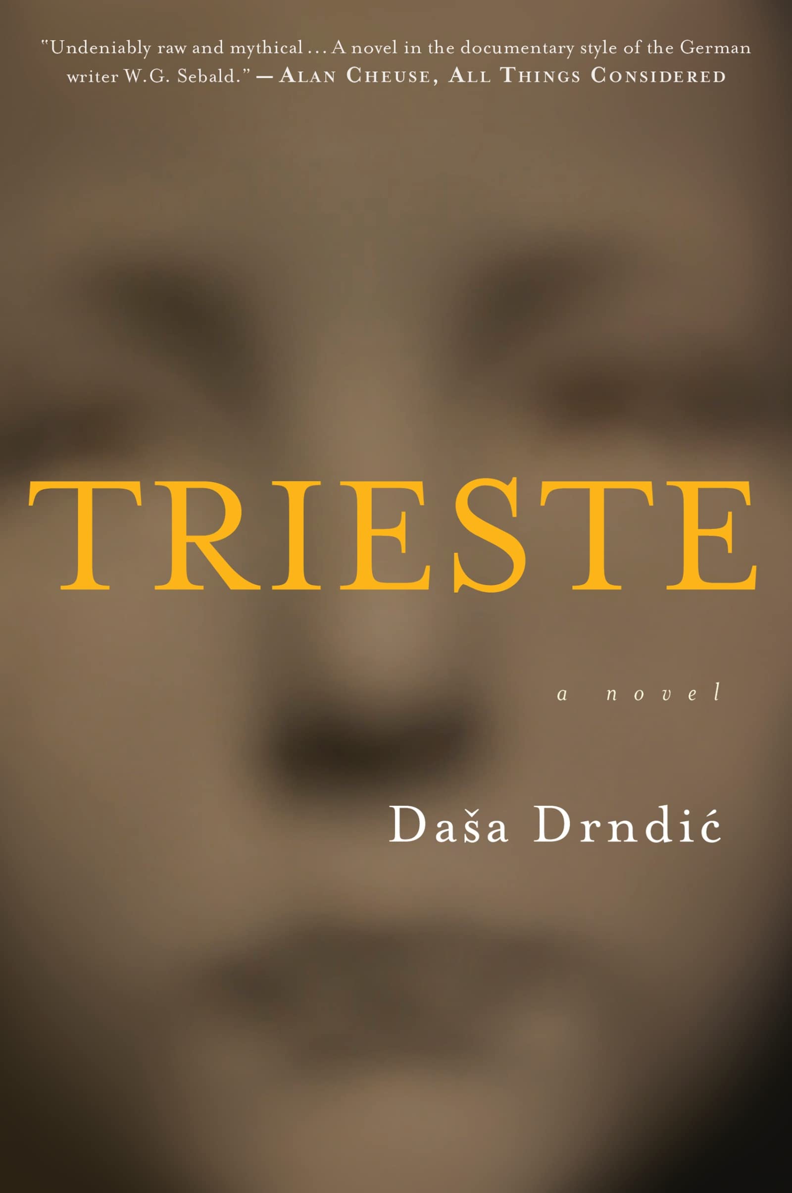 Trieste: A Haunting Literary Novel of the Holocaust – A Mother's Search in Nazi-Occupied Italy