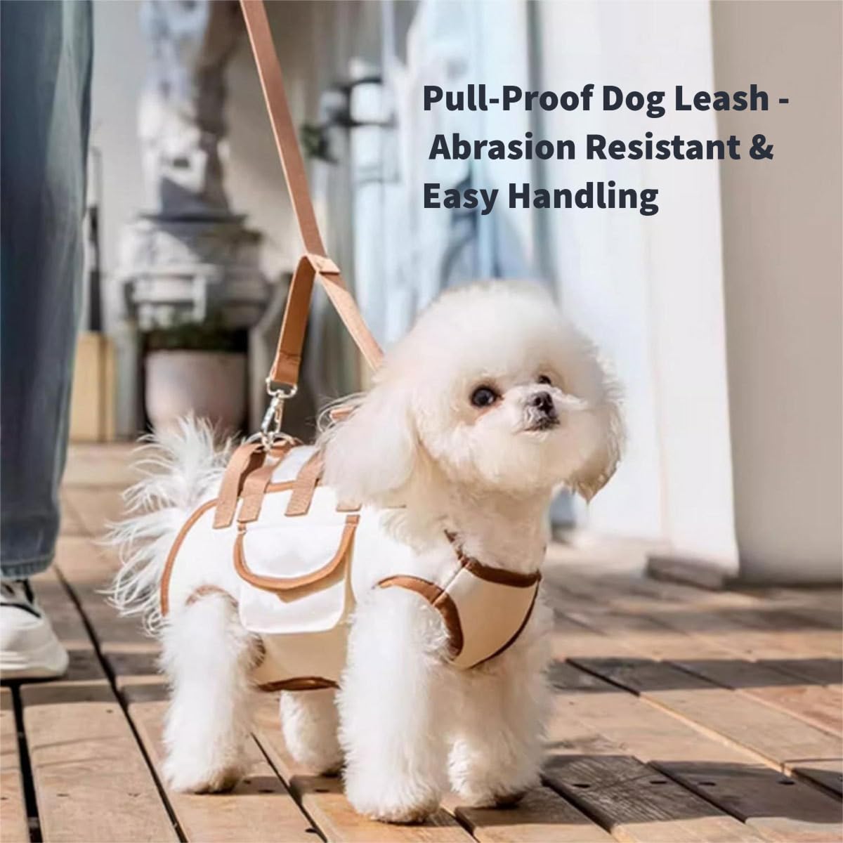 Harnais de levage pour chien, sangle de transport réglable pour chats de petite et moyenne taille, sac de transport portable pour extérieur, sangle d'assistance pour chien pour personnes âgées
