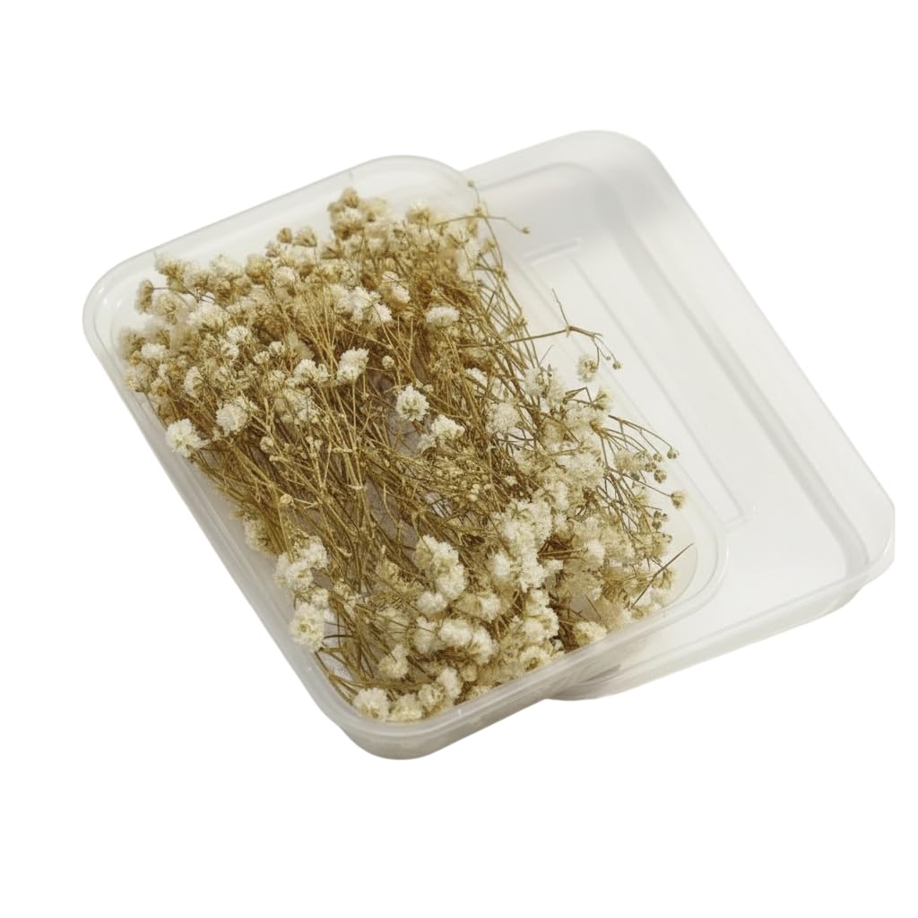 Zarwani 1 Box Natural Real Dried Flowers for Art Craft Mixed Soap, Candle, Scrapbook, DIY, Resin Tray Jewellery, Pendant (Sky Blue Gypsy)-image-19