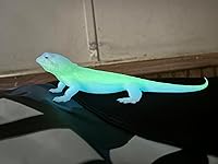 Review Image by Tatayashi Hiatari Tatayashi Hiatari