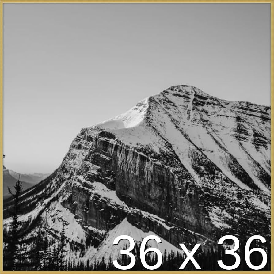 Amazon.co.jp: 36 x 36ポスターフレーム – プロファイル: # 93