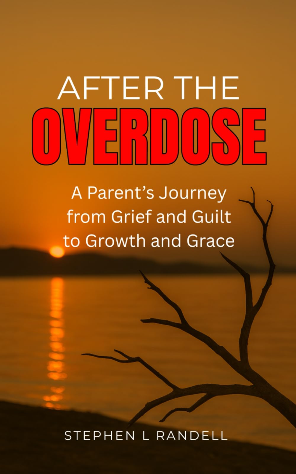 After The Overdose: A Parent's Journey From Grief and Guilt To Growth and Grace