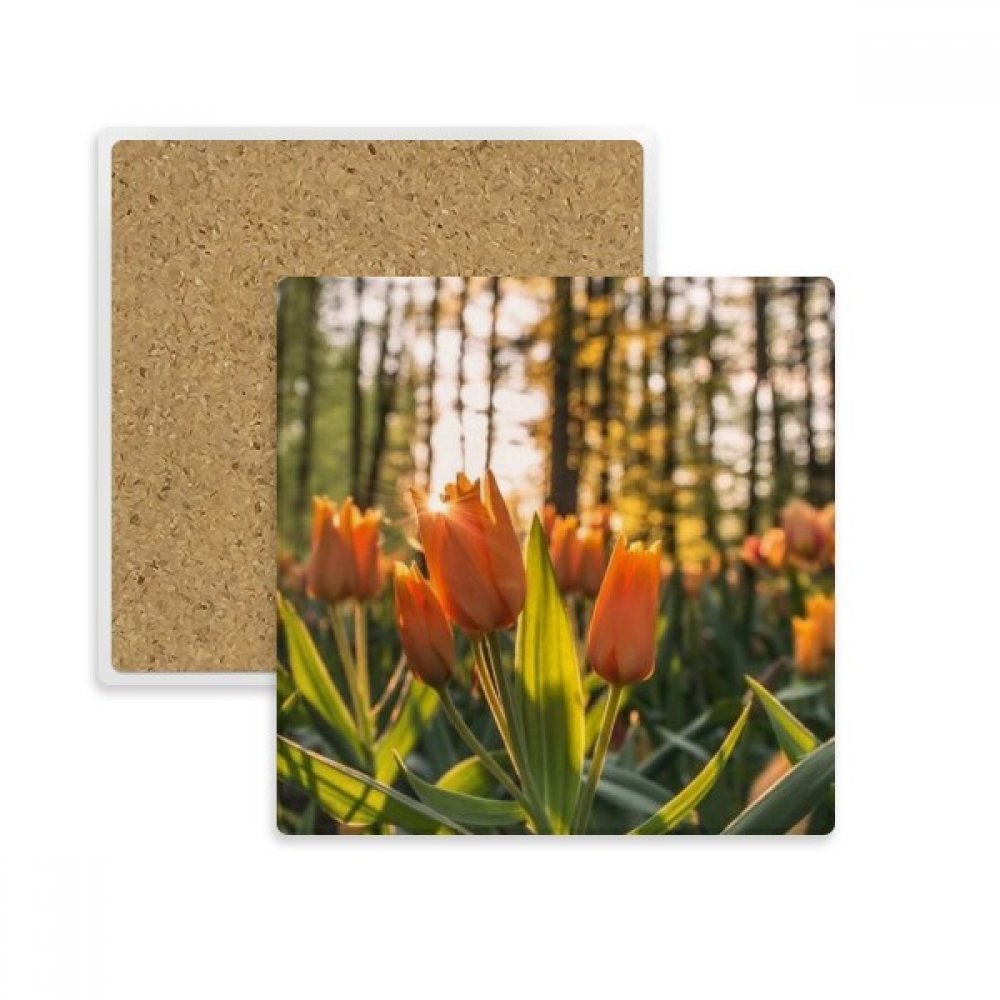 Coaster fleur et dessous de verre en pierre absorbante avec paysage forestier pour tasse