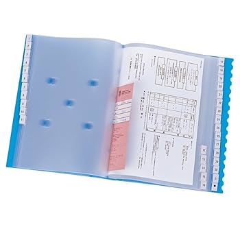 LIHIT LAB　スケジュール＆仕分けファイル 31 赤緑青 61qW9XMEjML._UF350,350_QL80_.jpg