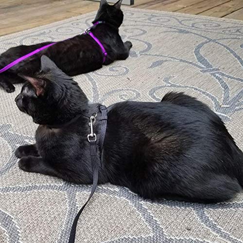 PUPTECK Adjustable Cat Harness Nylon Strap Collar with Leash Black - Image 5