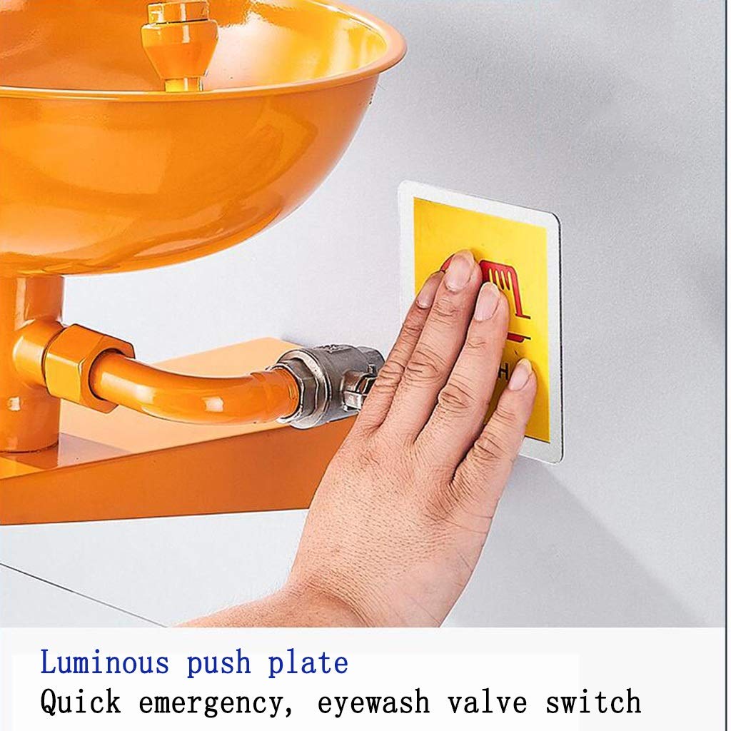 Stations de Lavage oculaire murales, avec Panneau de Lavage oculaire et pédale, Station en Acier Inoxydable 304 pour Laboratoire, entrepôt médical