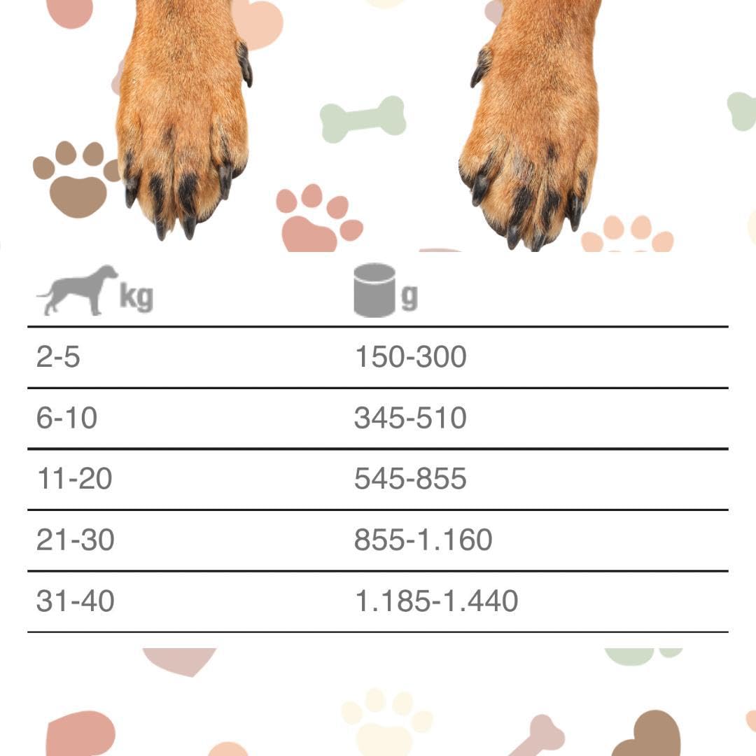 Natural Code - Comida húmeda para perro número 401 con sabor a pollo, salmón y zanahorias, alimento completo para perros adultos de todas las tallas y razas, en lata, 6 latas de 400 gramos cada una, 6
