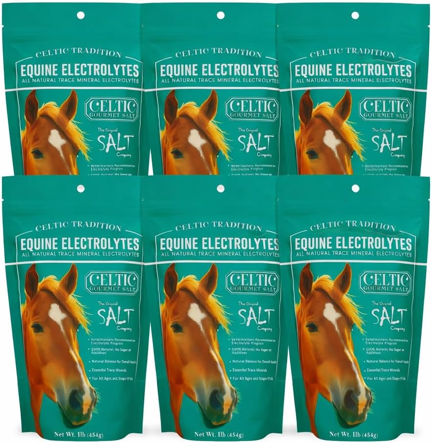 Celtic Tradition Equine Electrolytes – Natural Mineral Salt Supplement for Horses | Replenishes Electrolytes, Supports Hydration & Recovery | 1 lb Resealable Bag (6)
