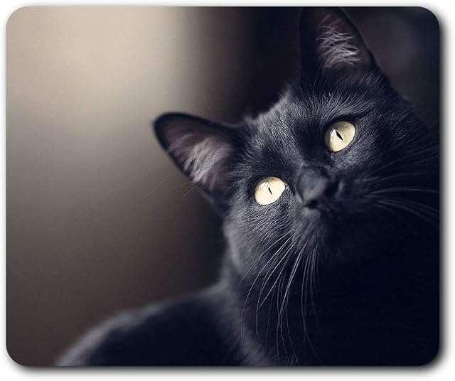 Beautiful Black Cat Mouse Mat Pad Computer PC Laptop Mum Sister Birthday Office Home Desk Accessory Gadget 2603
