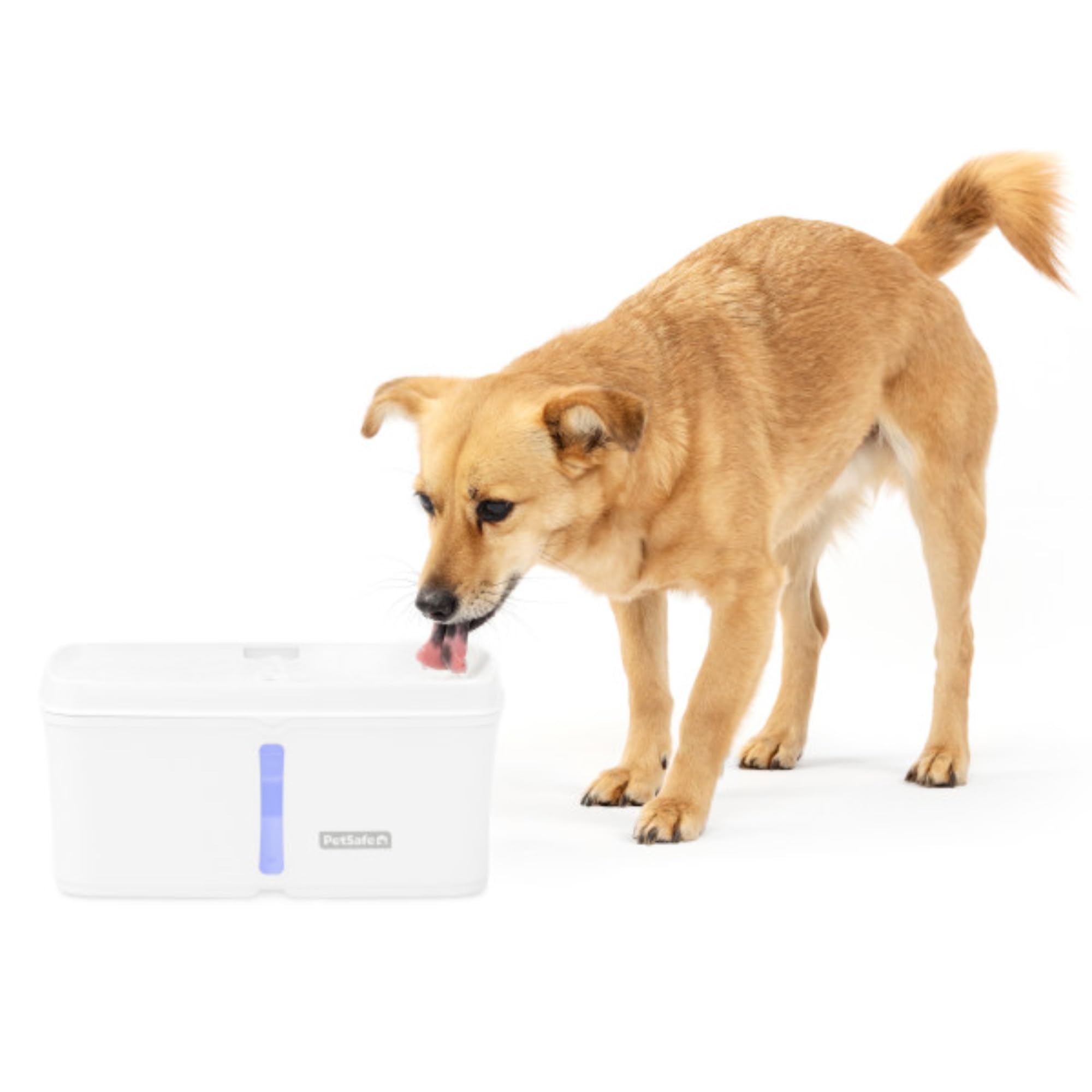 Fontana per animali domestici PetSafe Viva per gatti e cani di piccola taglia, 4,1 l, fontana per gatti da interno con pompa ultra silenziosa, lavabile in lavastoviglie, facile pulizia, filtri inclusi