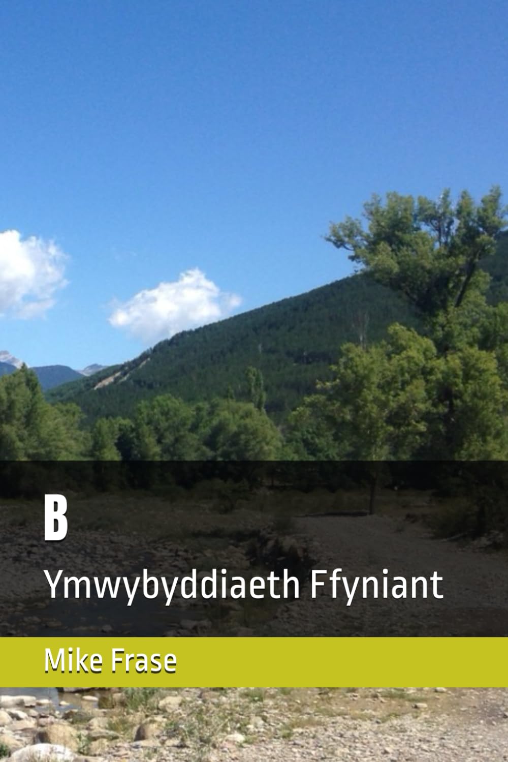 B: Ymwybyddiaeth Ffyniant