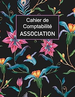 Cahier de Comptabilité Association: Livre de compte pour Enregistrer les recettes et Dépenses, plus de 100 fiches à remplir (Format A4)