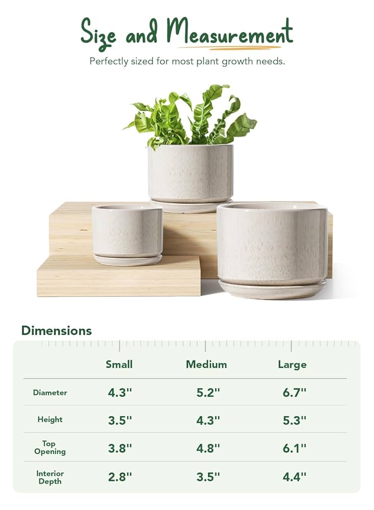 Amazon.com: LE TAUCI Ceramic Plant Pots, 4.3+5.3+6.8 inch