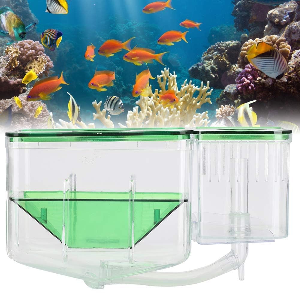 Aquarium Fish Tanks Zuchtbox Fischzuchtbox Isolationsbox Doppelschicht Braten Brut Brut Inkubator Aufzucht Box Isolation Inkubator