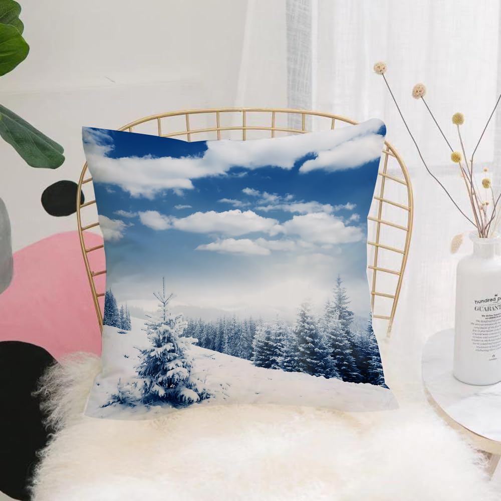 HYOSXW Cushion Cover,Throw Pillow Case Home Decorative for Living Room Bedroom Sofa Chair 16X16 Inch,Beautiful winter panorama with snow covered trees,Pillowcase 40X40cm
