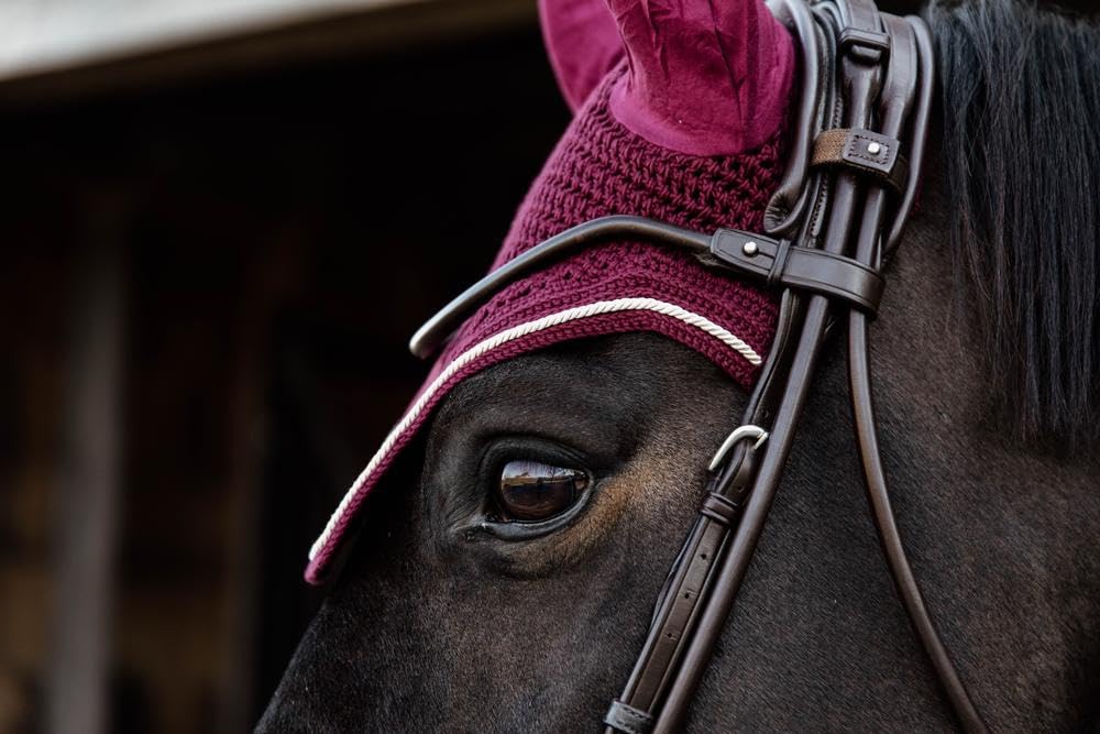 Bonnet Wellington Kentucky Horsewear Velours Bordeaux : l'excellence du style équestre