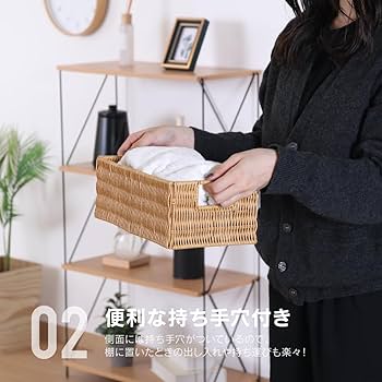 お洒落なカゴ　2個セット 2個セット 収納ボックス フタ付き プラスチック 北欧 収納 かご